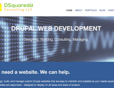 DSquaredB Consulting Website